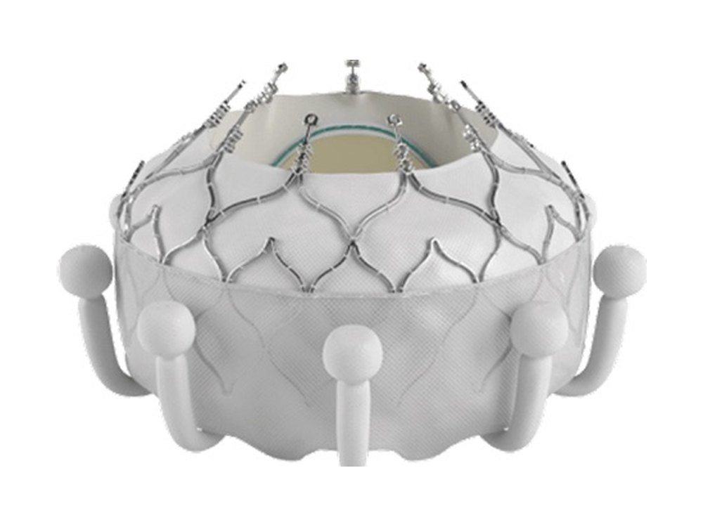 Edwards EVOQUE tricuspid valve